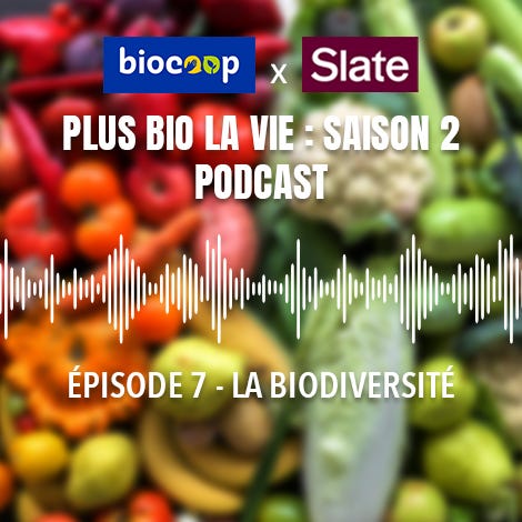 Podcast Plus bio la vie : La saisonnalité, la clé pour bien consommer ?