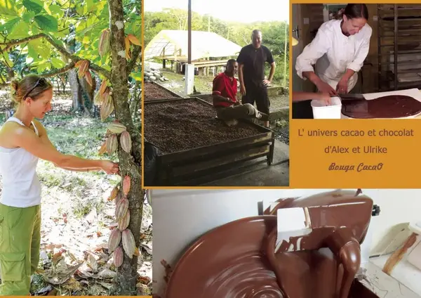 Bouga Cacao