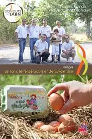 Servi Oeuf Tanagra